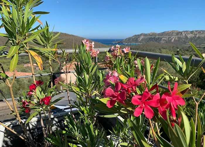 Avec Vue Sur La Baie De Santa Giulia A Porto-vecchio Villa